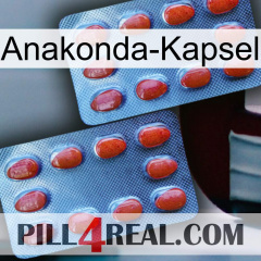 Anaconda Capsule 05